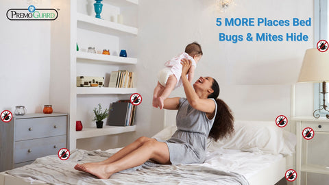 5 MORE Places Bed Bugs & Mites Hide