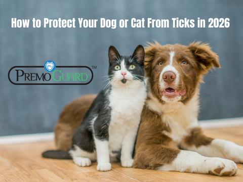 How to Protect Your Dog or Cat From Ticks in 2026