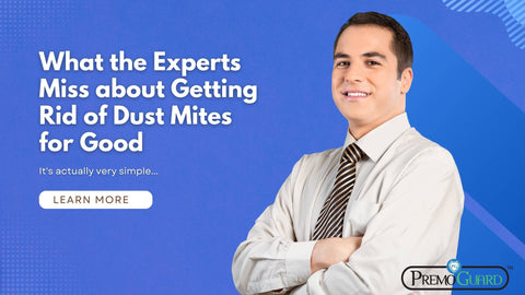 What the Experts Miss about Getting Rid of Dust Mites for Good