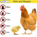 Poultry Spray 16 oz - Plant Based All Natural Non-Toxic - By Premo Guard - Premo Natural Products 
