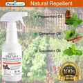 Rodent Repellent Spray - 32 oz - Plant Based All Natural Non-Toxic - By Premo Guard - Premo Natural Products 