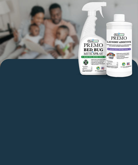 End Your Bed Bug Infestation