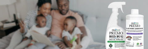 End Your Bed Bug Infestation